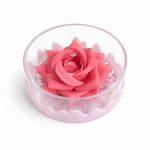 رژگونه و هایلایتر گل رز اورجینال